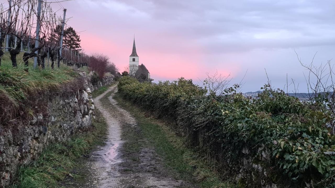 Duplex Allegro La Neuveville Zewnętrze zdjęcie